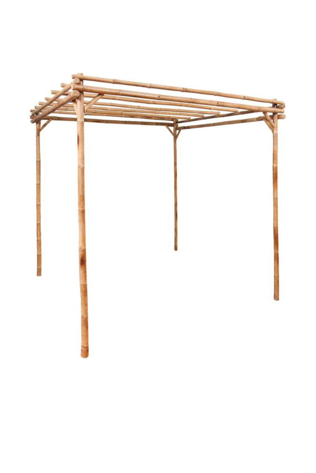 Bamboo Pergola