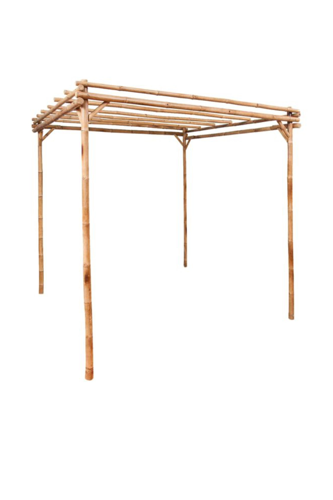 Bamboo Pergola