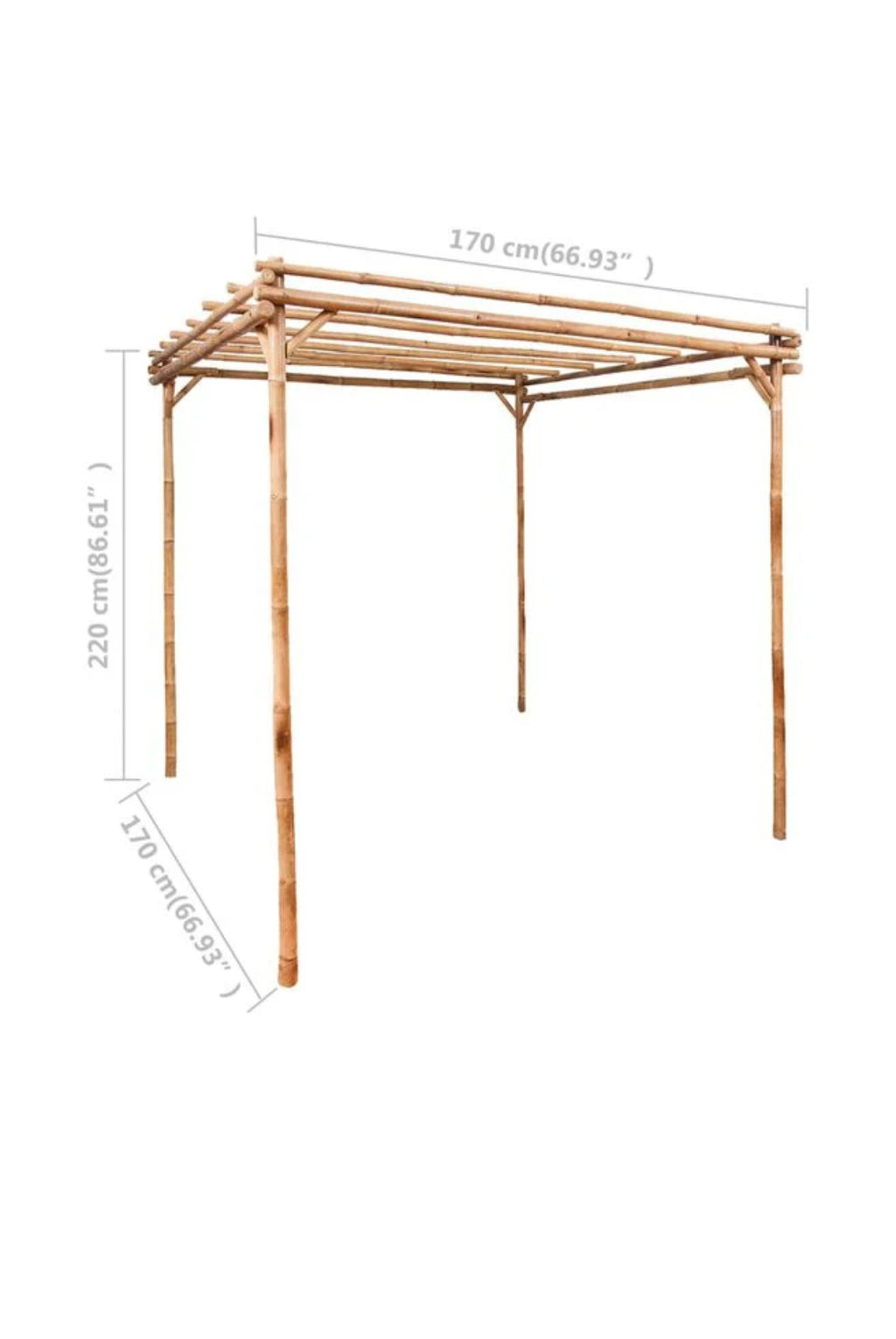 Bamboo Pergola