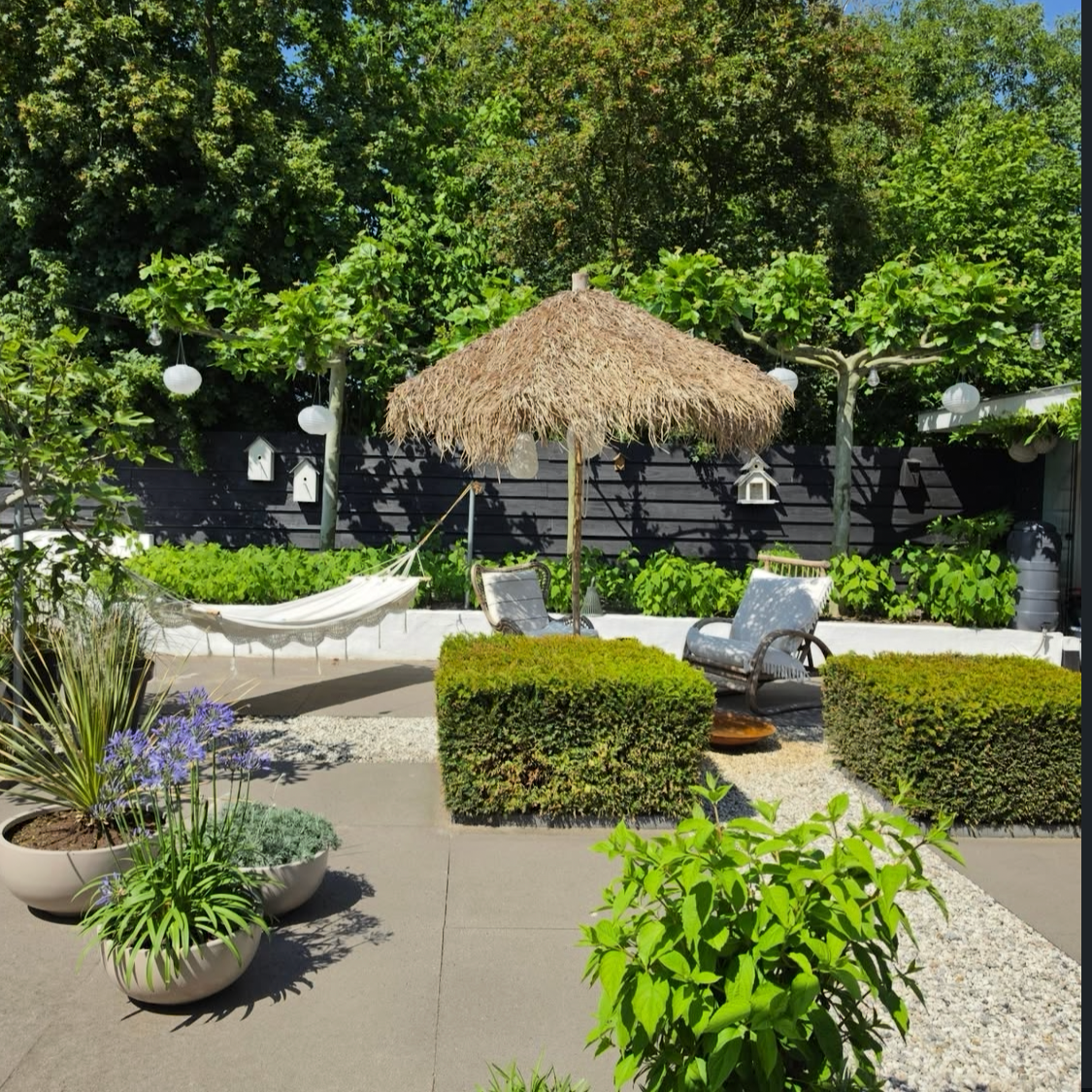 Bamboo/Palm Thatch Canopy