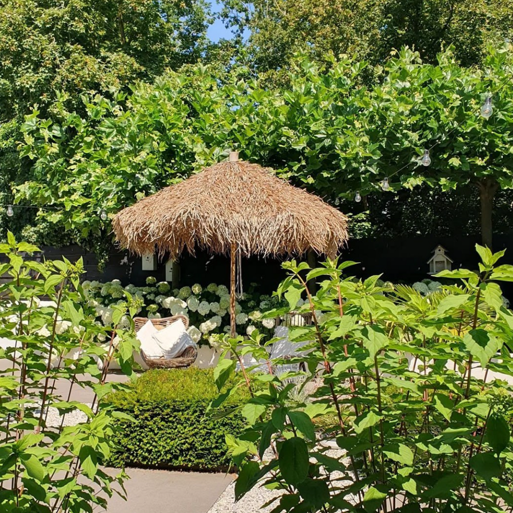 Bamboo/Palm Thatch Canopy